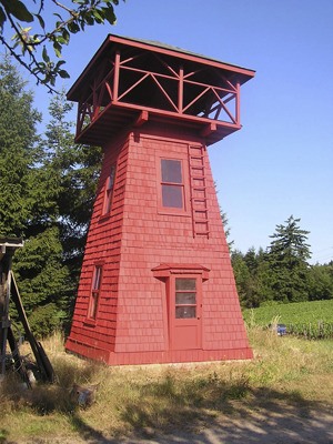 Winslow's historic water tower stands tall these days on Day Road farm land.