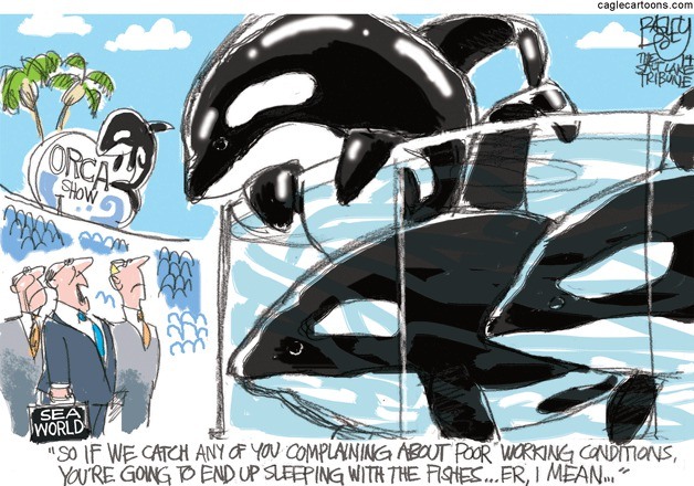 Today's cartoon is by Pat Bagley