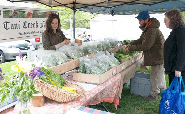 Salad does not need to be the same old iceberg lettuce. Ali Odin and Max Sassenfeld sell a whole variety of fresh greens from Tani Creek Farm at the weekly Bainbridge Farmers Market.