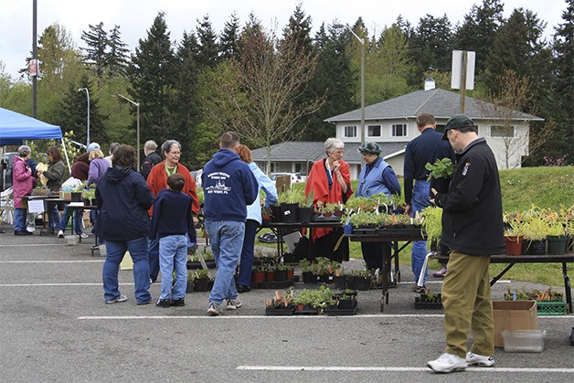 Locals check out the annual Bainbridge Island Garden Club sale. The event is scheduled to take place this weekend from 9 a.m. to noon in the Ace Hardware parking lot.