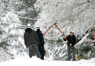 An International Line Builders crew snips a power line on Dolphin Drive. The line had been snagged by a city truck.