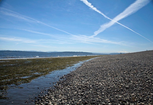 Low tide at the beach on Bainbridge Island.