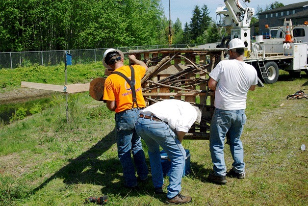 A family of ospreys that have been nesting in a cell tower near the Coppertop Park complex have been provided a new safe alternative nesting platform on the grounds of the nearby Sonoji Sakai Intermediate School through the collective efforts of several concerned island parties and volunteers.