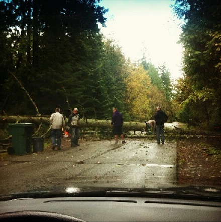 This fallen tree blocked El Cimo Lane on the south end of Bainbridge Island Monday afternoon.