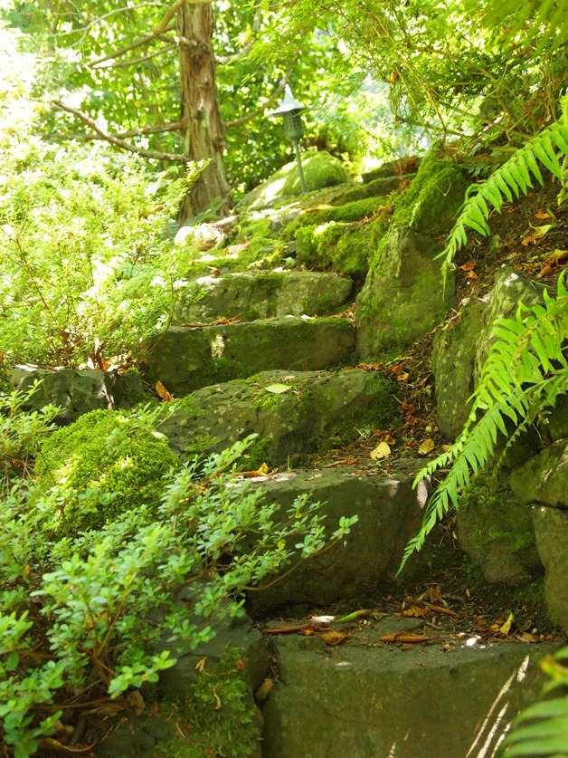 Children like to play on the secret stone stairs at the Rockefellers' home.