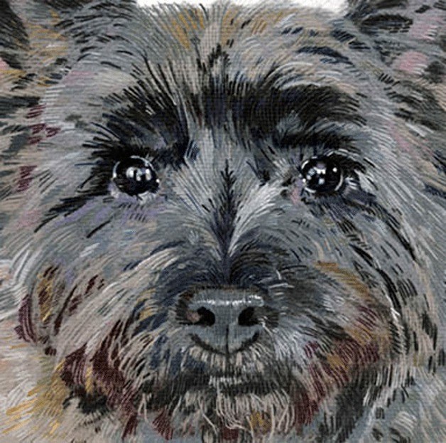 'Archie' by Susan Wiersema.