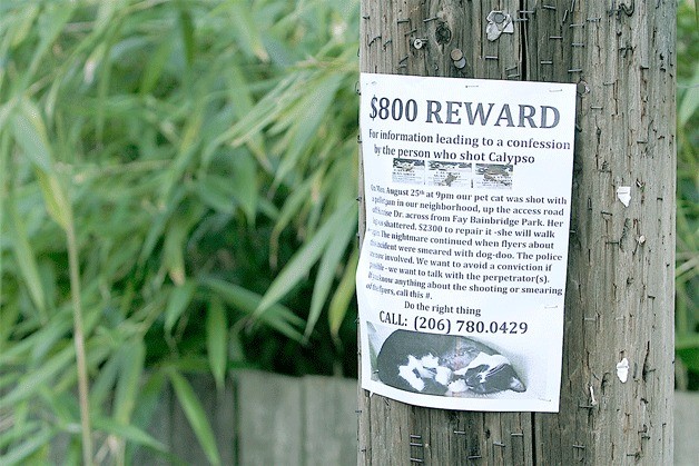 Posters have been raised throughout the Fay Bainbridge Park area alerting the neighborhood to an incident of a cat shooting last week.