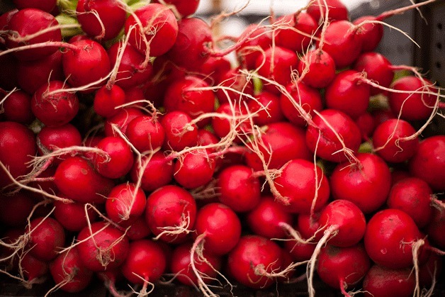 Fresh radishes at the Bainbridge Island Farmers Market.