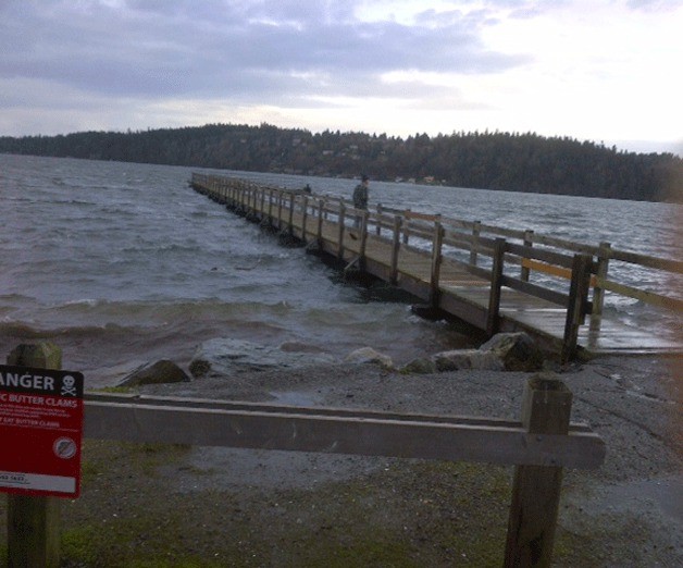 Islander Wendy Dymoke took this picture of the high tide meeting the Point White Dock.