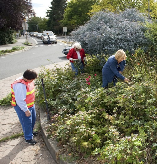 Bainbridge Island Garden Club members Peggy Adkins