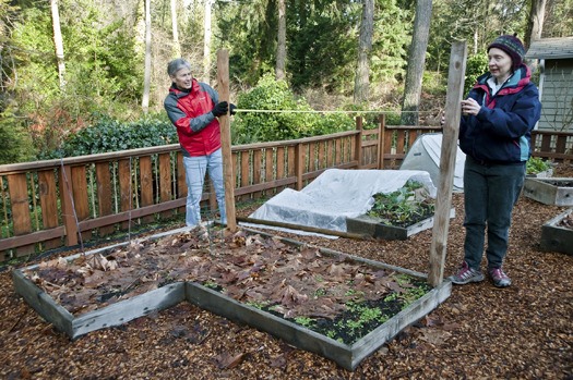 Bainbridge resident Bruce White receives expertise from Mickey Gibson on how to get more yield in his garden by growing vertically.