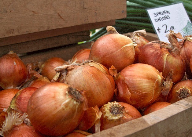 Fresh onions at the Bainbridge Island Farmers Market.