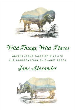 Jane Alexander will discuss her new book at Bethany Lutheran Church on Sunday