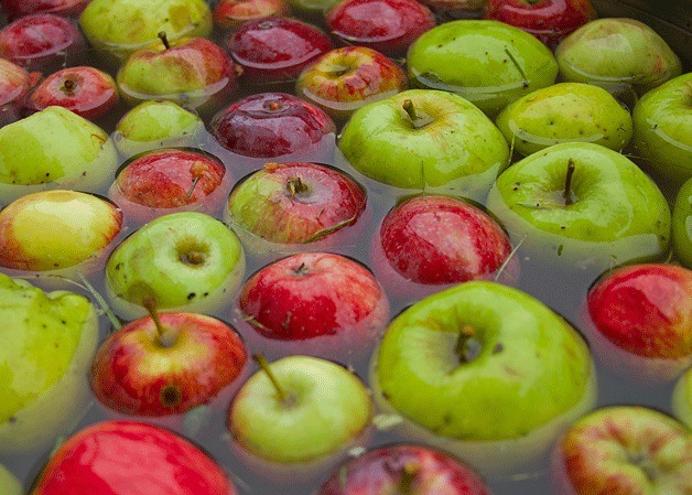 The 27th annual Bainbridge Island Harvest Fair brought visitors young and old to Johnson Farm on Sunday