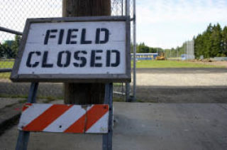 Crews began stripping sod from Memorial Stadium field last week.