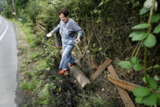 Cheryl Boice is the keeper of the fence in front of her home.