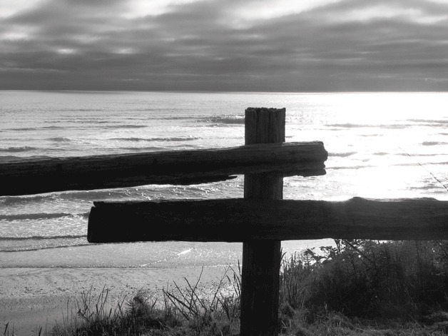 “Kalaloch Fence Against the Ocean' by Scott Sawden.