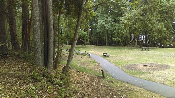 Officials from the Bainbridge Island Metropolitan Parks & Recreation District said that construction in the Winslow Waterfront Park had recently disturbed the occasional camping spots of people living homeless