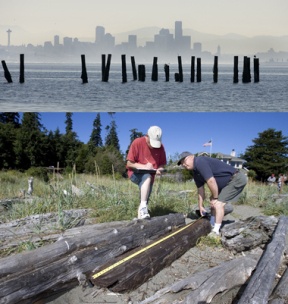 (Top) The hazy Seattle skyline looms over pilings from a former dock at Murden Cove. The dock is one of many marine structures around the island that could pose a threat to the environment