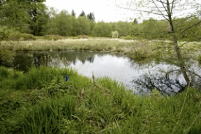 Meigs Farm was purchased by the city as open space last April.