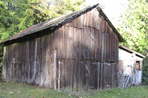 One of the island’s rare and nearly forgotten cedar shake barns. They served the island’s strawberry industry during the World War II era.