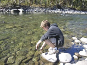 Eagle Harbor High School student Richard Murphy places a water quality probe into the Elwha River. Last fall