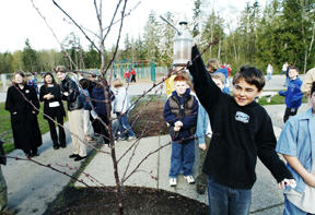 Neil Bjorklund waters a newly planted tree on the Sakai Intermediate School grounds.