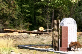 Trees were cleared improperly at Port Blakely Cemetery.