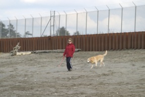 Today’s Pritchard Park is a study in contrasts – a broad expanse of sandy beach open to the public flanks a toxic waste cleanup site managed by the Environmental Protection Agency.