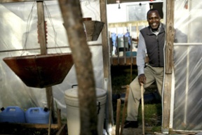 Peter Emau grows much of his family’s produce in his greenhouse. The 10-year island resident grew up on a farm in Uganda.