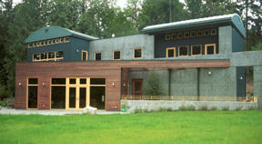 The exterior of the Williams’ home features green metal siding capped with a metal dome roof.