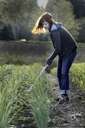 Farming apprentice Amie Marvel tends garlic rows Monday at Laughing Crow Farms on Day Road.