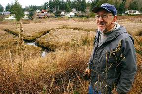 Dwight Sutton explains the relationship of a Manitou Beach-area marsh with the Kane property next door.