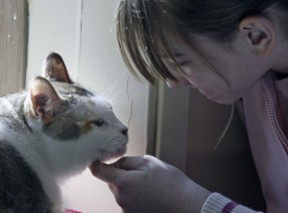 Nine-year-old Sarah Zimmerman scratches the chin of Winnie