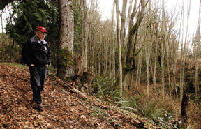 Dwight Sutton strolls the wilder reaches of the M&E tree farm