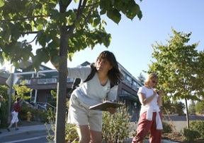 Kathy Wolf and Marja Preston record data on trees in the Madison Avenue pedestrian islands