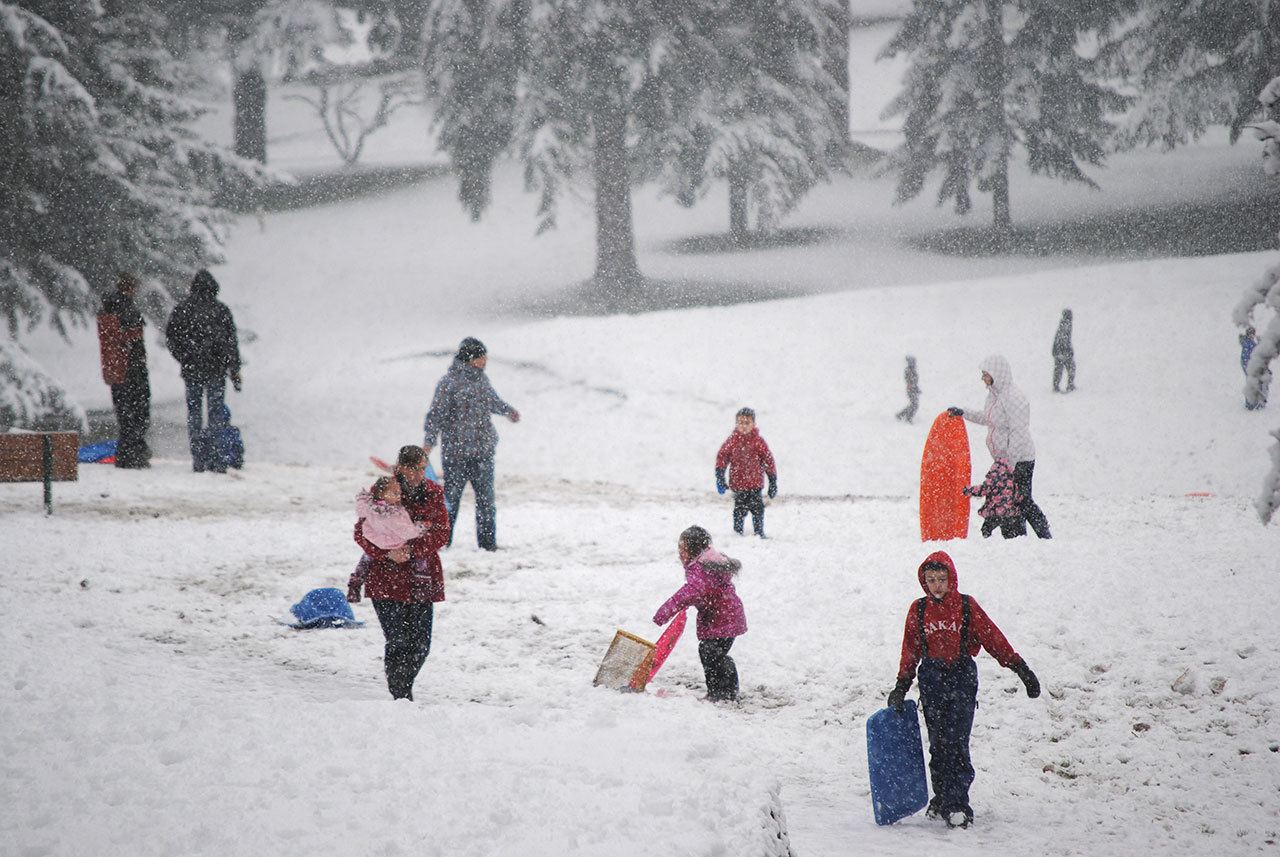 Snowbound Bainbridge — our favorite photos from the blizzard | GALLERY