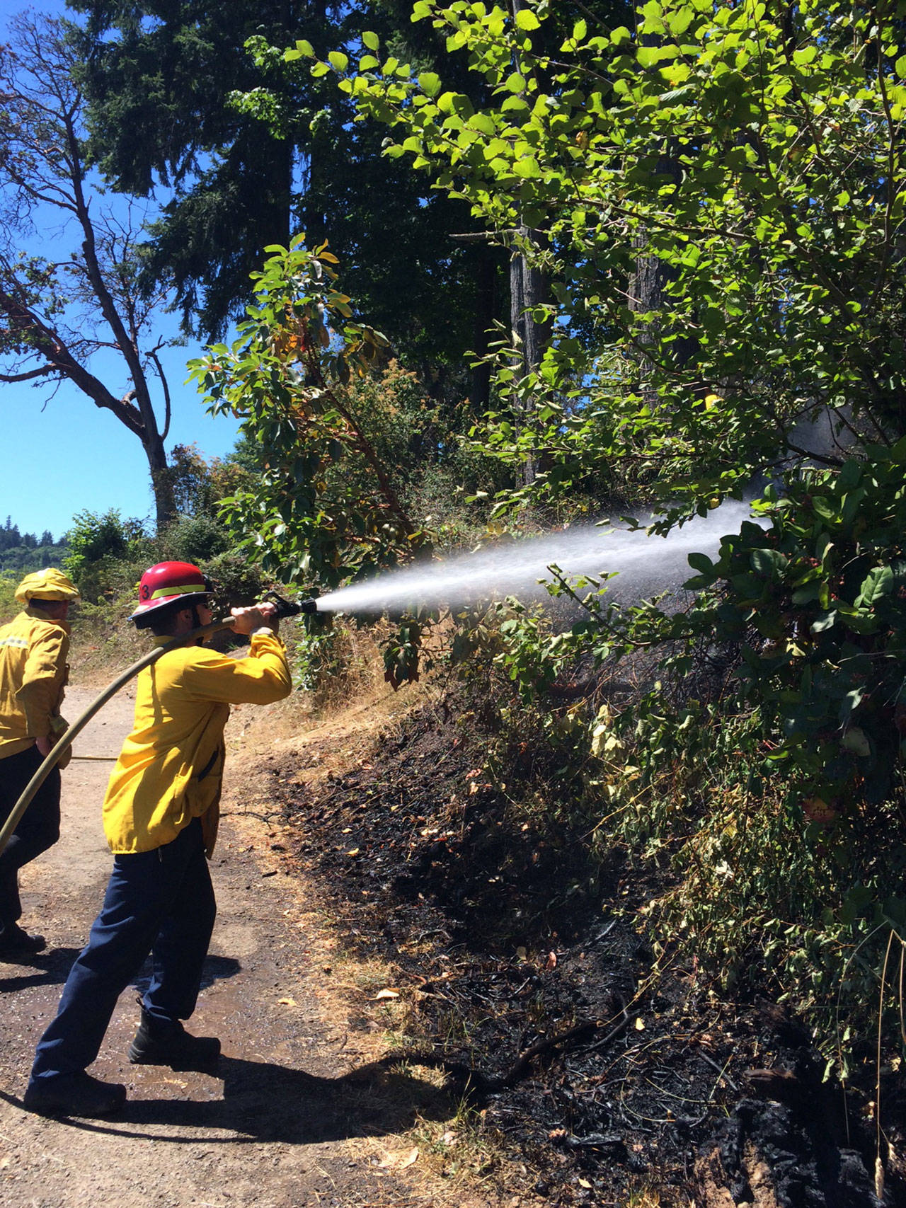 Photo courtesy of the Bainbridge Island Fire Department | A potentially dangerous brush fire in the area of Waterfront Park was quelled quickly Monday afternoon thanks to the quick work of several people nearby and the Bainbridge Island Fire Department.