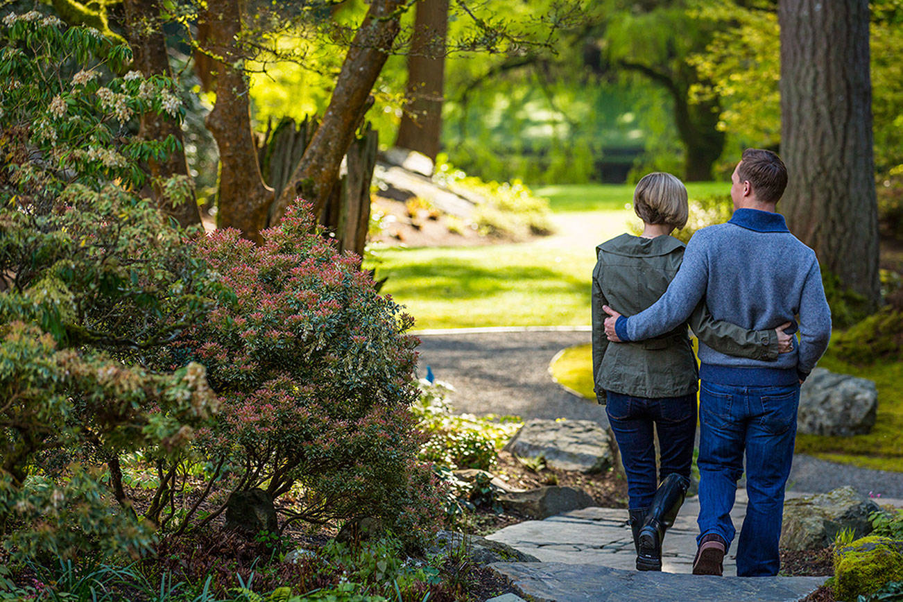 Lace up for love: Cupid returns to Bloedel for fifth romantic walk event