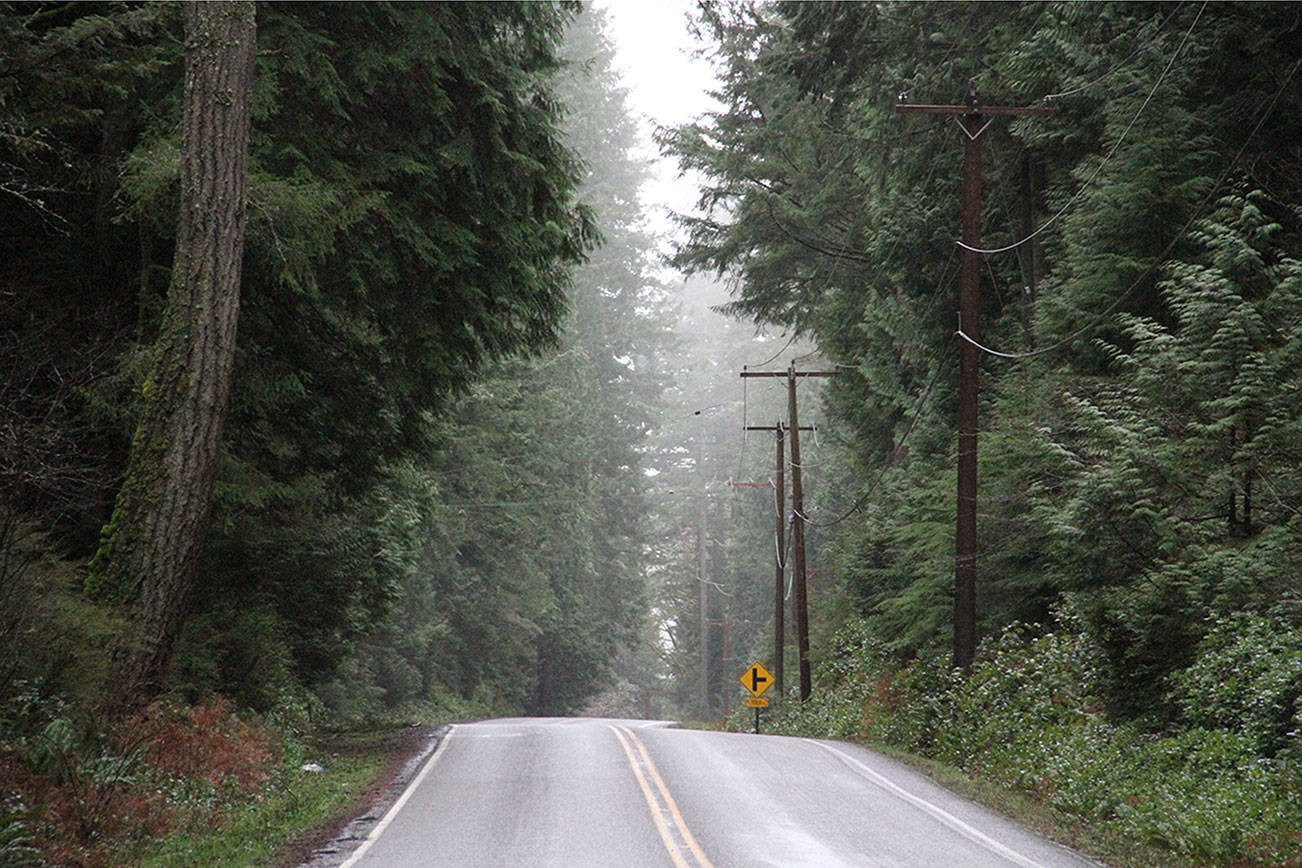 Bainbridge council OKs $1.3 million contract for roadside work