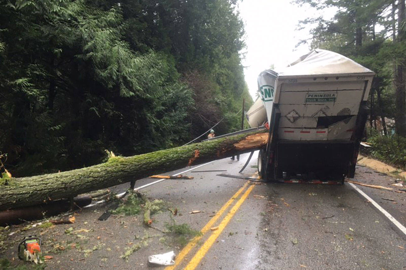 Parts of Bainbridge Island still waiting for power to be restored