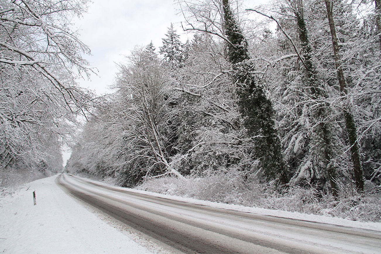 Winter storm leaves thousands without power on Bainbridge Island