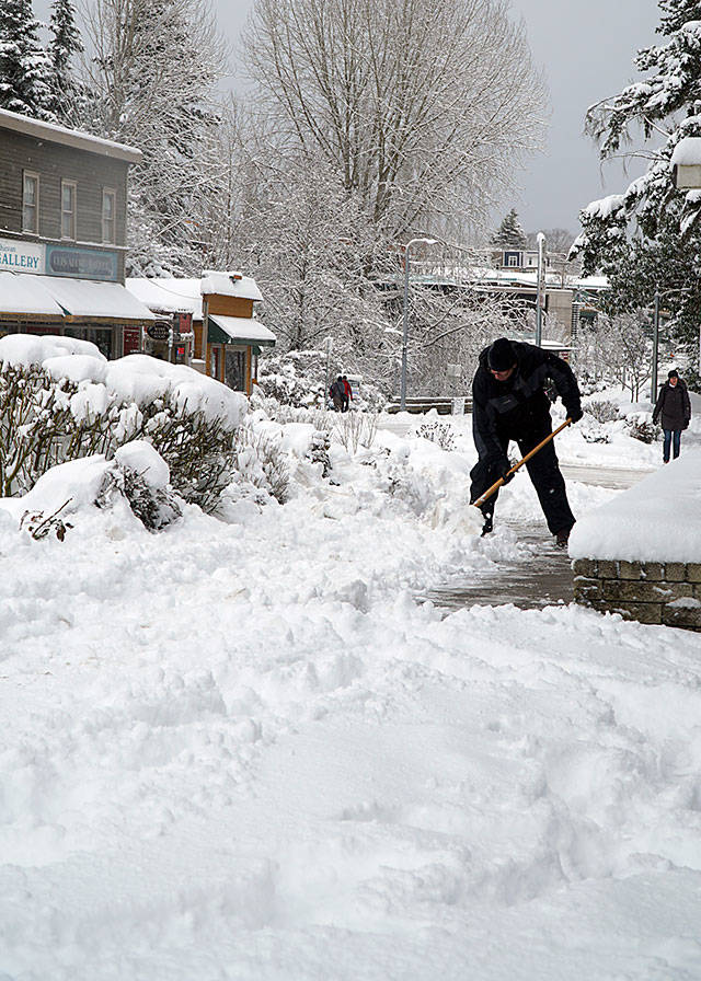 Bainbridge in white: Winter storm 2019 | Photo gallery