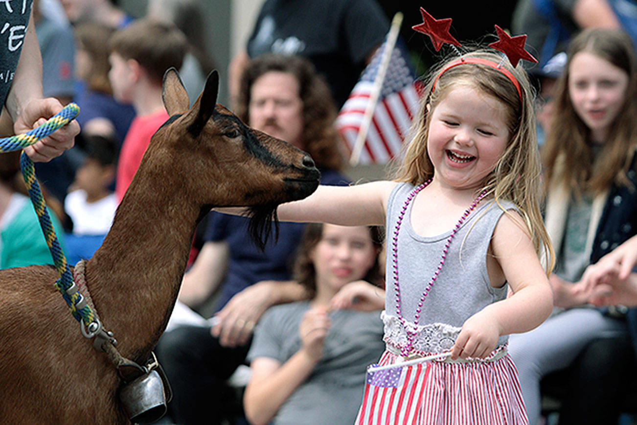 More 4 - A July Fourth extravaganza, Part 2 | Photo gallery