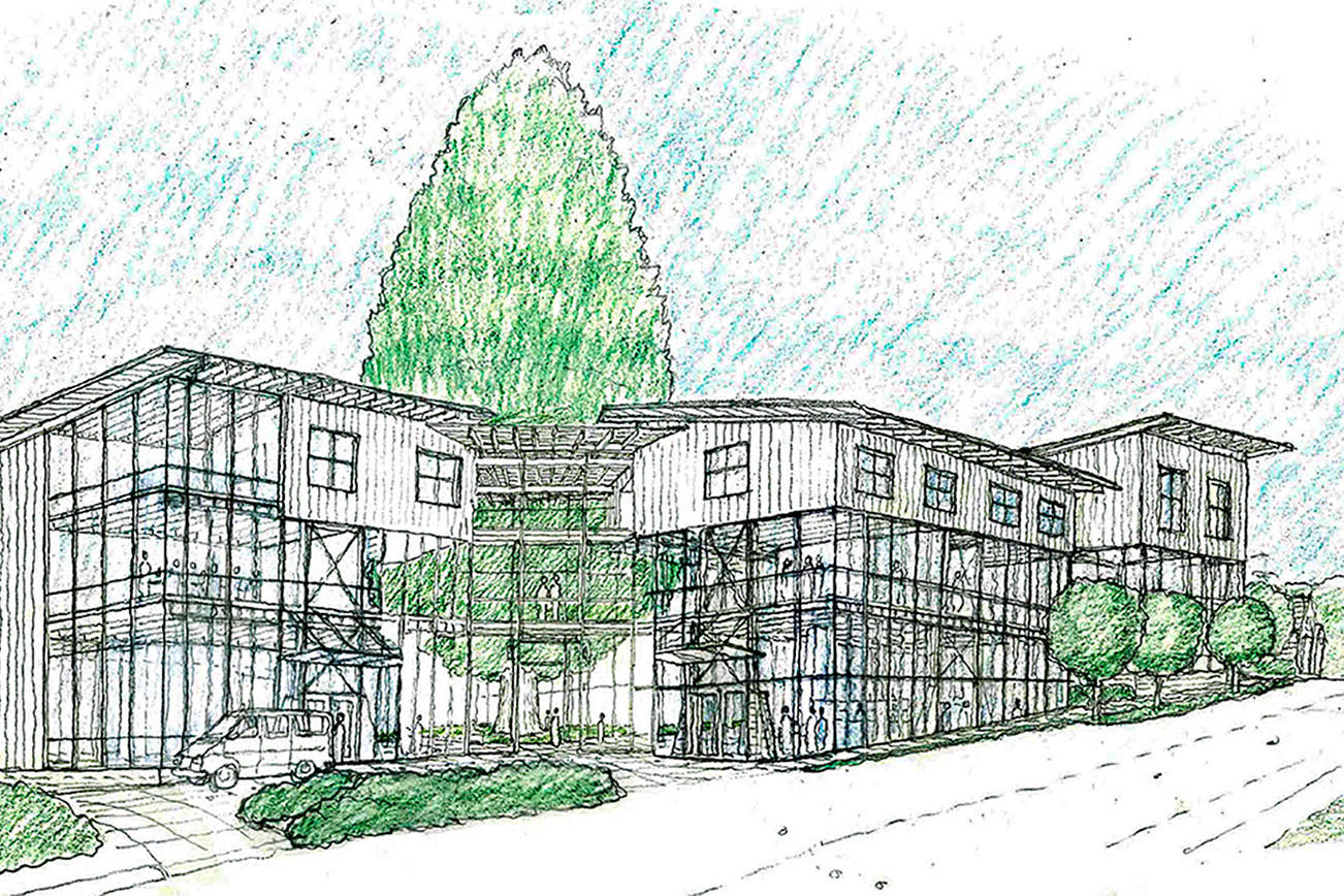 UPDATE | Bainbridge planning commission asks for rejection of downtown hotel project