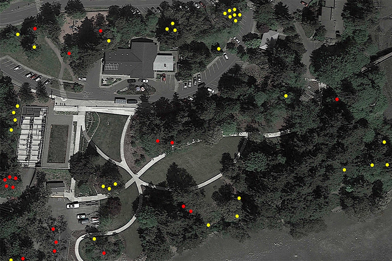 Here’s a map of the trees to be cut down in Waterfront Park