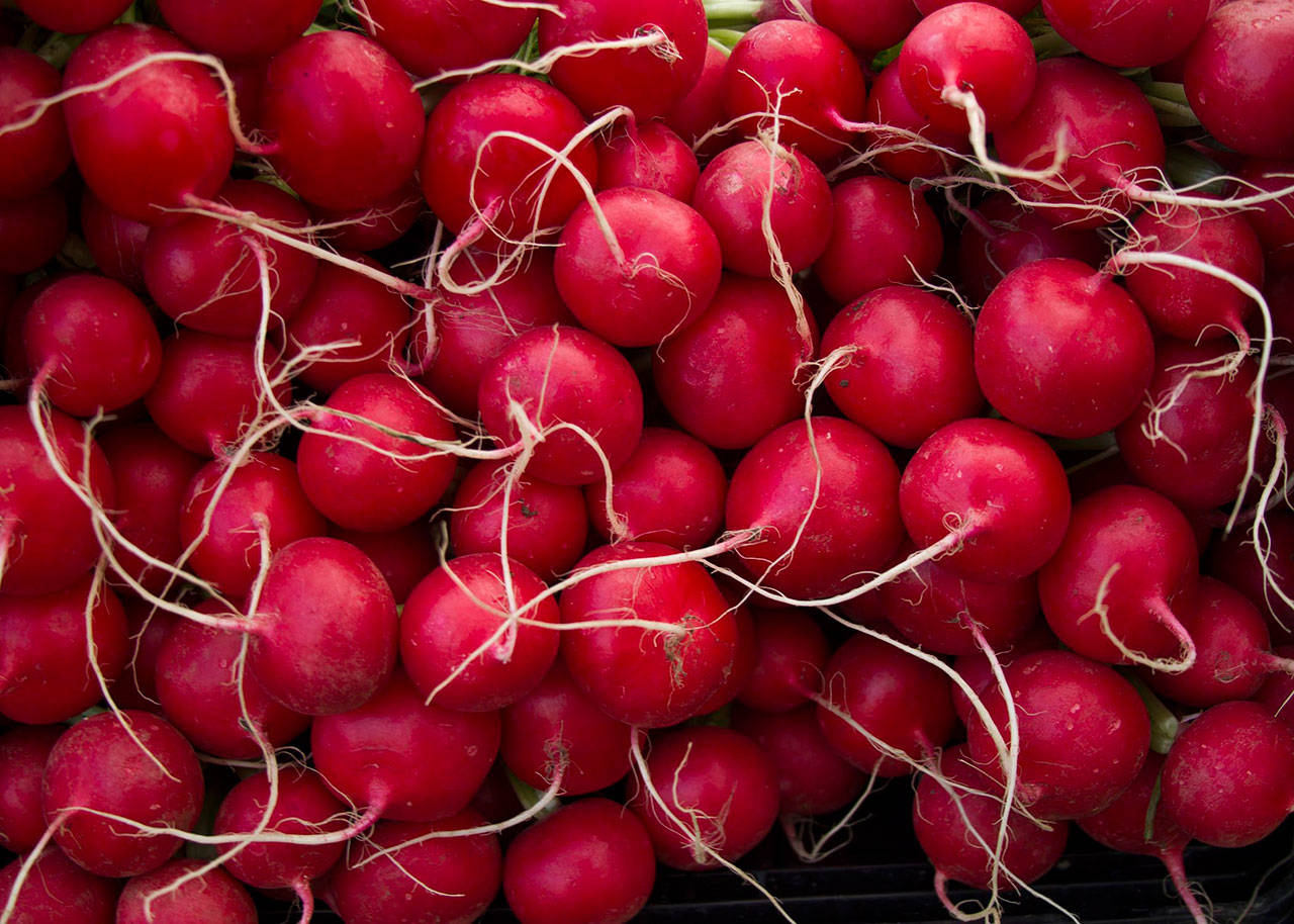 Fresh radishes at the Bainbridge Island Farmers Market. (Luciano Marano | Bainbridge Island Review file)