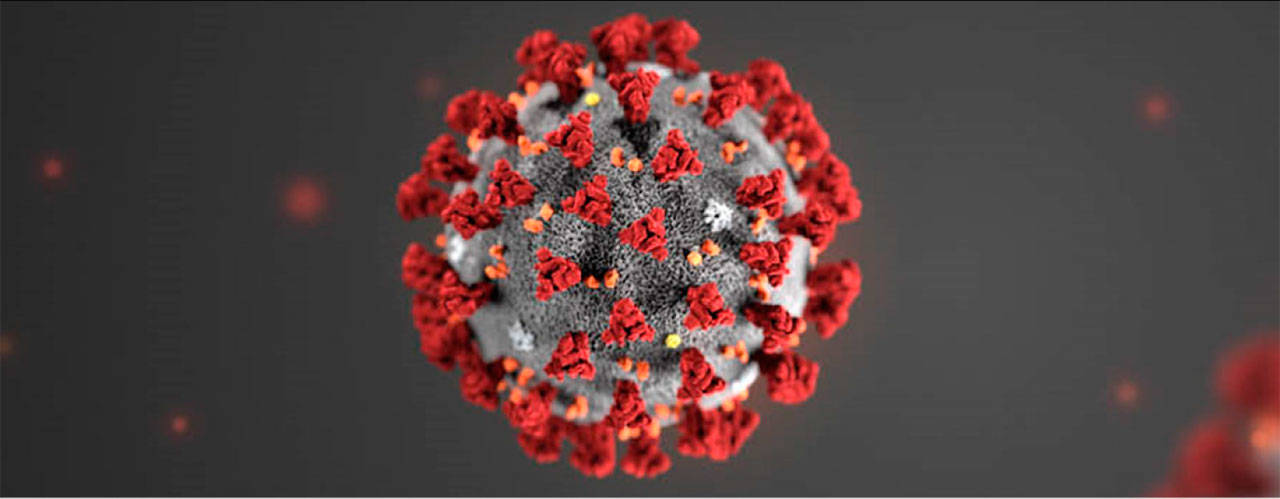 State to deploy brigade of contact tracers to box in virus