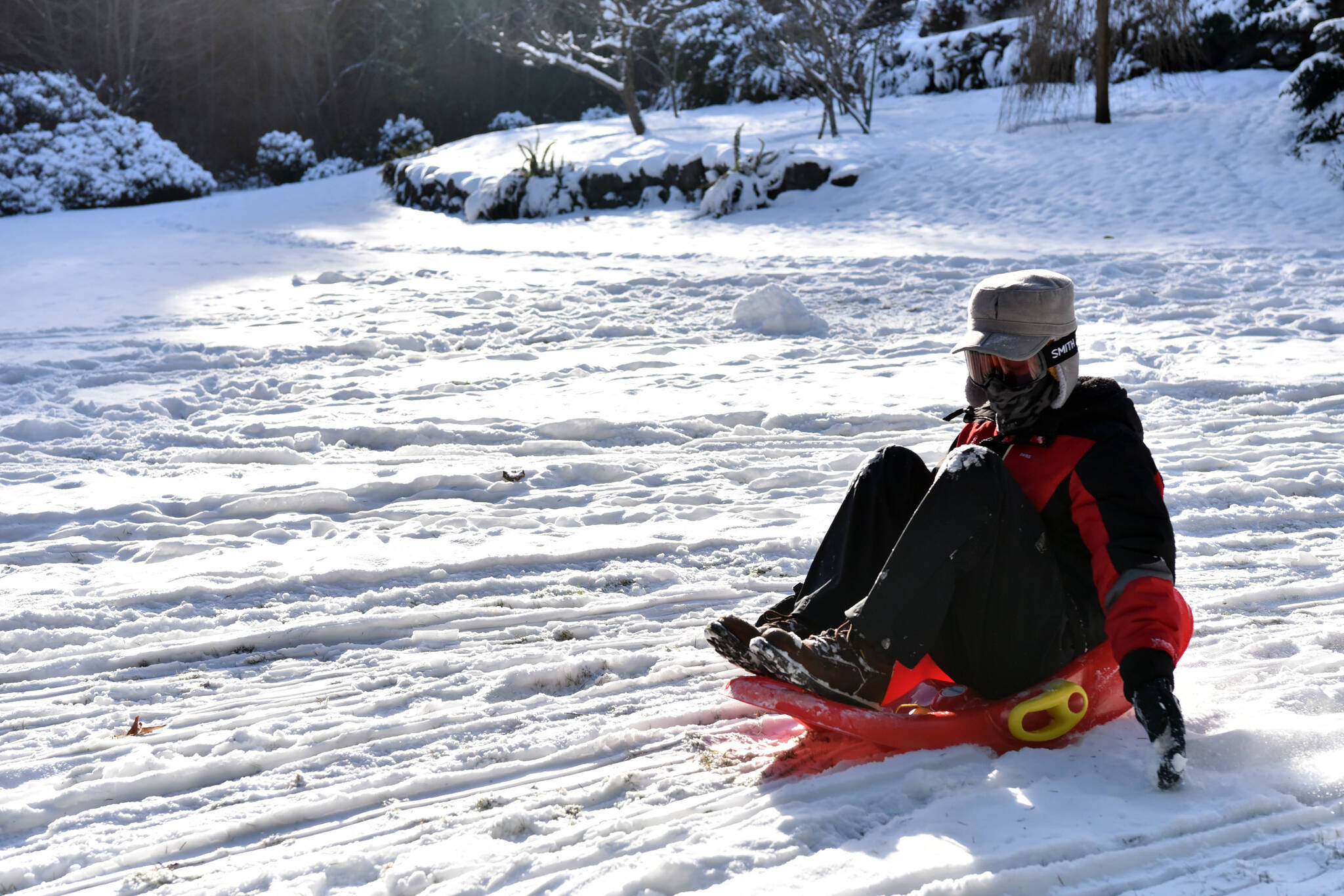 Nancy Treder/Bainbridge Island Review
Sledding was a popular activity as snow blanketed Bainbridge Island the day after Christmas.