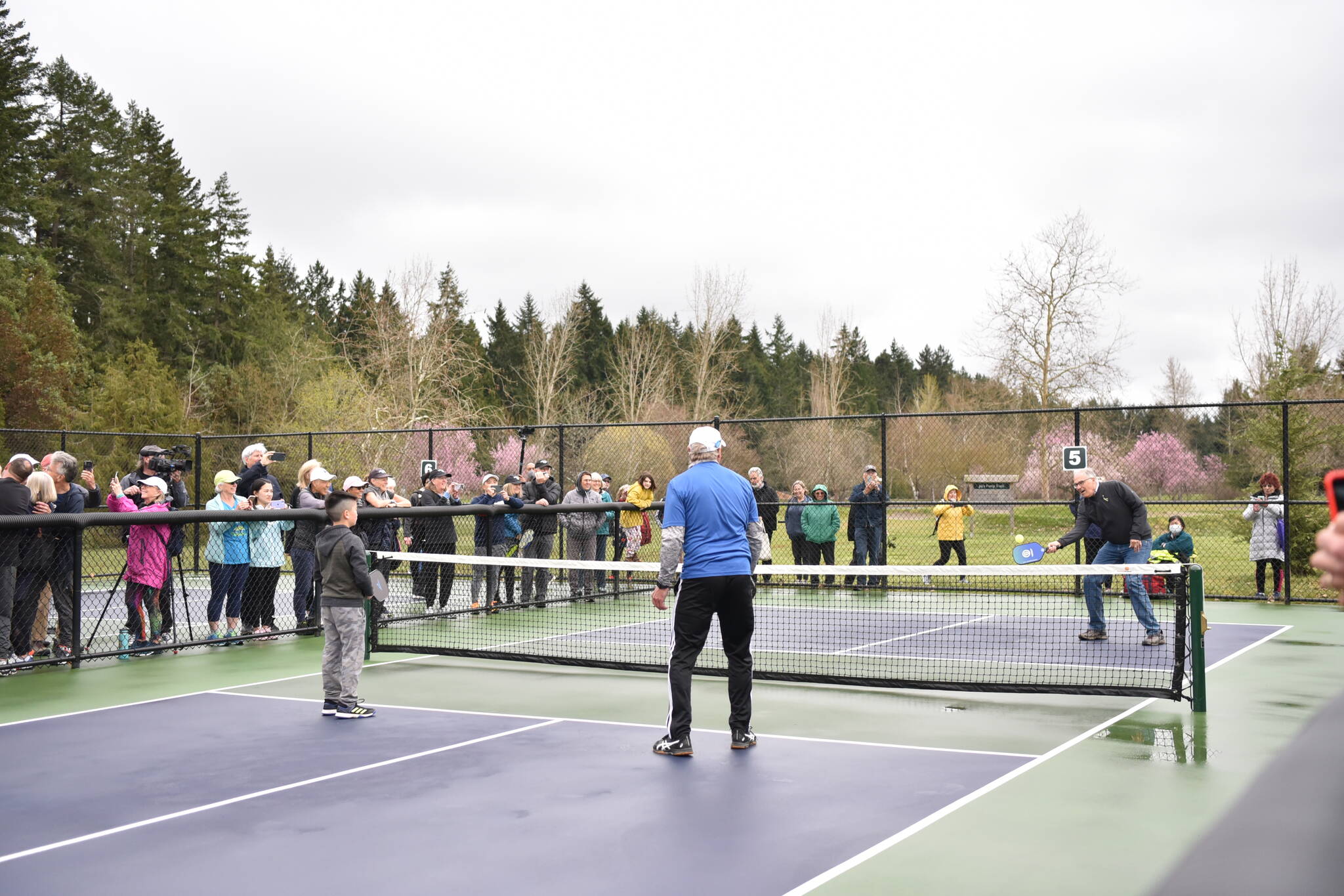 The Bainbridge Pickleball Paddle – Nettie